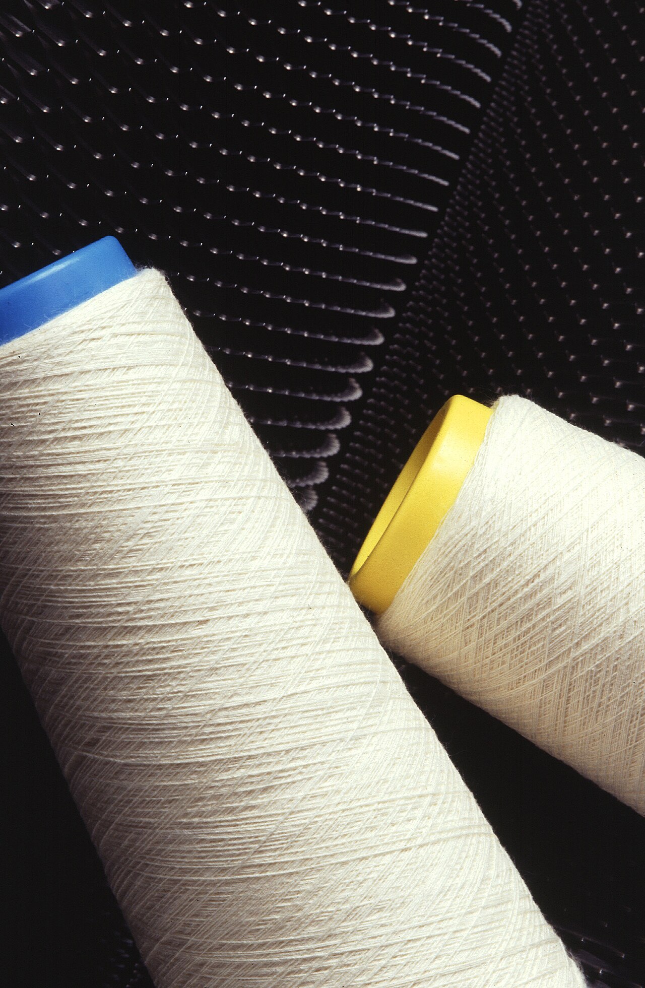 Real cones of spun cotton yarn